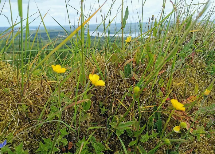 Majestic Cavan Burren, 4 Bedroom, Dream Holiday Home